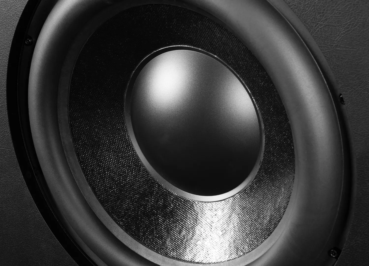 Airmotiv SE12 12" Flex Subwoofer