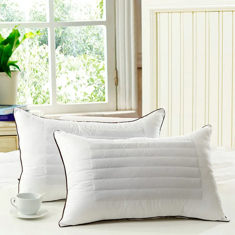 Comfortable Buckwheat Pillow