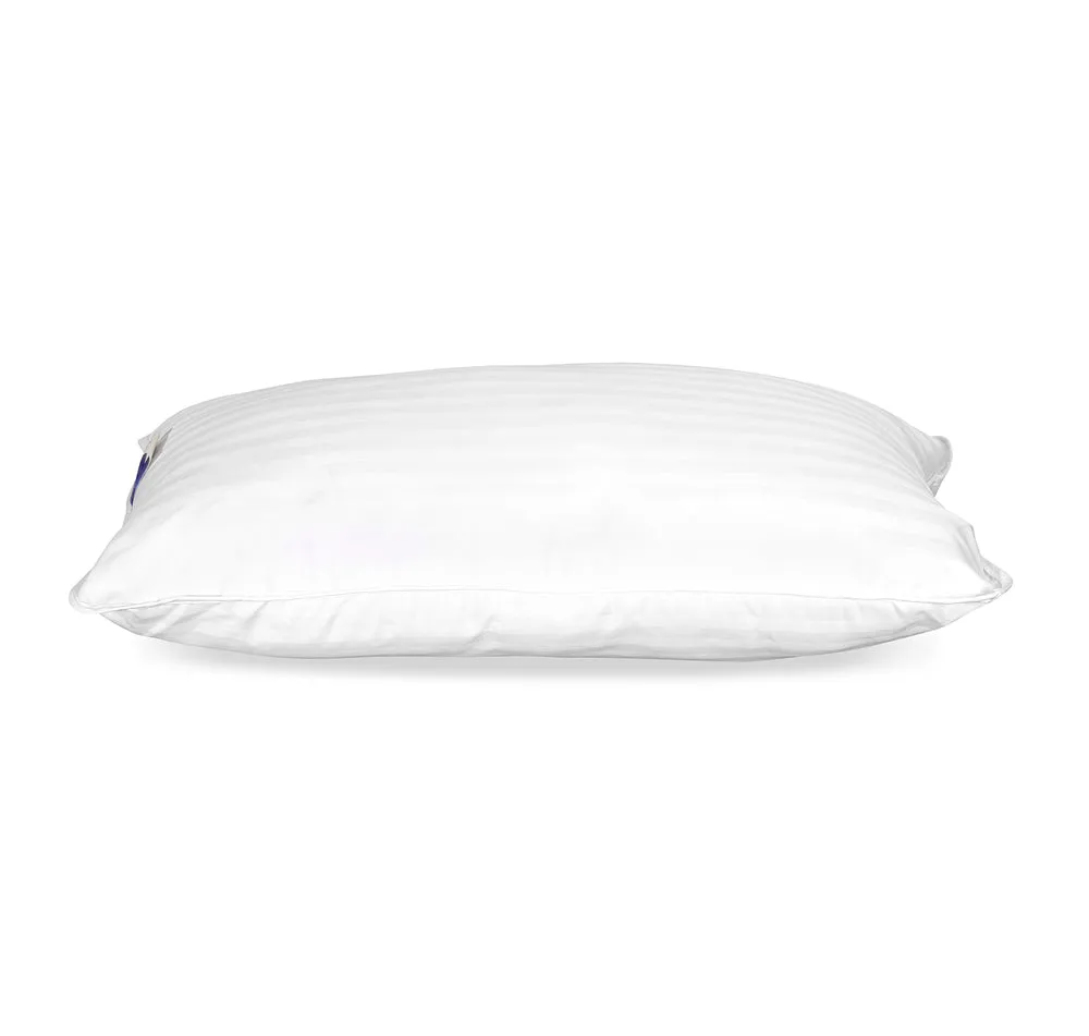 Nilkamal Fern Pillows (27x17 in, White)